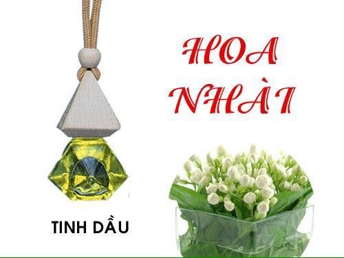 tinh-dau-treo-oto-hoa-nhai