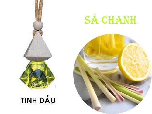 tinh-dau-treo-oto-sa-chanh