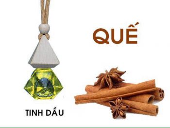 tinh-dau-treo-xe