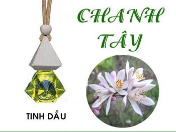 tinh-dau-treo-xe-chanh-tay