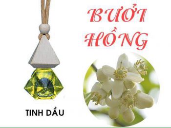 tinh-dau-treo-xe-oto-buoi-hong