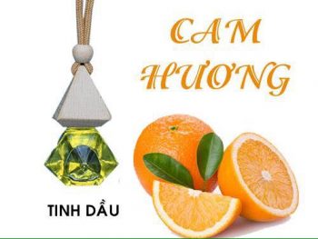 tinh-dau-treo-xe-oto-cam-huong