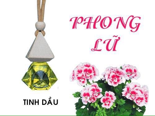 tinh-dau-treo-xe-oto-phong-lu